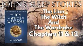 Sleep Story - The Lion, The Witch, And the Wardrobe by CS Lewis Chapters 11 and 12 (W/ Rain Sounds)