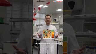 Как выбрать ананас? #роскачество