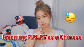 RELEARNING MALAY AS A MALAYSIAN CHINESE  challenge  重新学习马来文