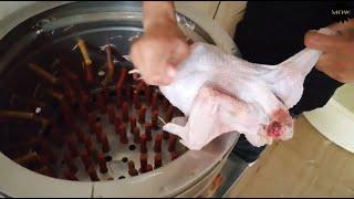 New Erbil Market In Hawler Kurdistan - Chicken Farm/Butcher & Restaurant