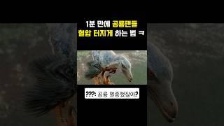 공룡 팬들 보는 즉시 혈압 터지는 영상