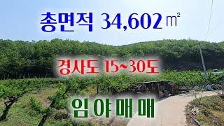 [1303][임야매매] 나즈막한 야산 같은 임야 입니다. 경사도가 15~30도 정도 분포가 되어 있고 계획관리지역도 포함된 임야 입니다.