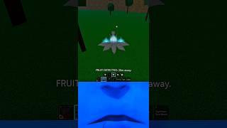 I was Chasing an Exploiter and This Happened  #bloxfruits #fyp #shorts #viralvideos