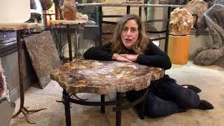 Petrified Wood Table