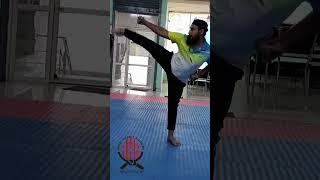 Yoko - Geri