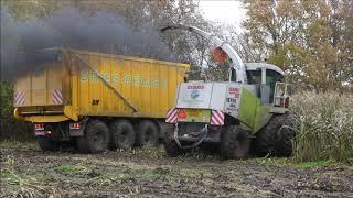 Dries - Prinse mais hakselen 2020 , Claas Jaguar 880