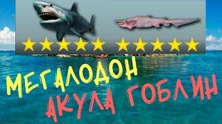 My Fishing World 2020 Ловля Мутанта Мегалодон и Акула Гоблин