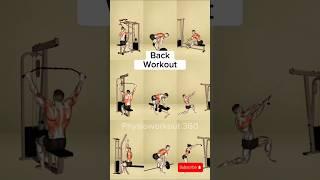 Workout to Build Stronger Back #gym #workout #exercise #backworkout #backexercises #shorts #fitness