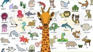 Learn 200+ Common Animals in English in 25 Minutes