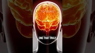 Solipsism Explained: Is Reality All in Your Mind? #reality #philosophy #life