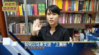 【林老师国语课师】【马来西亚】【马来语教学】 #1 - 如何用马来语说 - 老师，老师，我爱你！