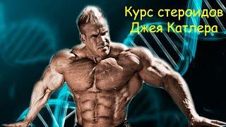 Курс стероидов Джея Катлера