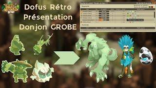 Dofus Rétro, Présentation complète Donjon GROBE !! Péki GAROU 