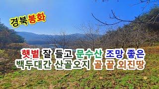 싼땅이야기 봉화토지매매, 경상북도 봉화군 춘양면 백두대간 산촌오지 골짜기 끝 전원살이 좋은 호두나무농장매매, 문수산 조망 시골땅 시골집터, 억지춘양 주말힐링쉼터, 봉화-2189