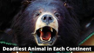 Deadliest Animal in Each Continent