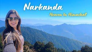 Hatu Peak Narkanda: The HIGHEST PEAK in the entire Shimla District | PWD Guest House | Heena Bhatia