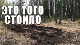 ДВА ДНЯ РЫЛИ В ЛЕСУ! НО ЭТО ТОГО СТОИЛО / Russian Digger