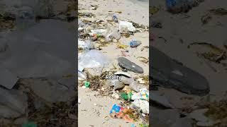 "The Maldives of Vietnam" Sao Beach in Phu Quoc is NOT... #travel #beachcleanup #phuquoc #vietnam