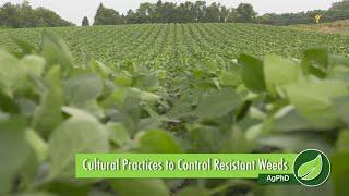 Cultural Practices to Control Resistant Weeds #1024 (Air Date 11-19-17)