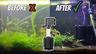 Cleaning my Fish Tank! Dirty Aquarium Maintenance with POWERED Sponge Filter Hack