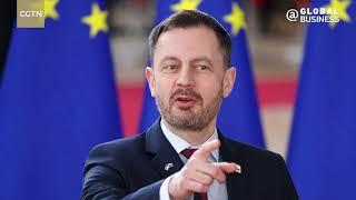 Slovakia may stop power exports to EU, says PM Heger