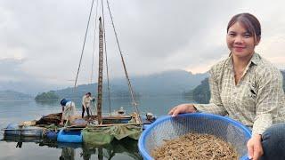 The girl and her brother harvested shrimp using a giant trap 10 meters high.