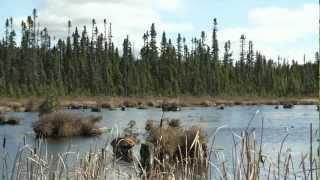 Le Camp en pourvoirie - Saison 1 - Épisode 10 - Pourvoirie Le Chasseur