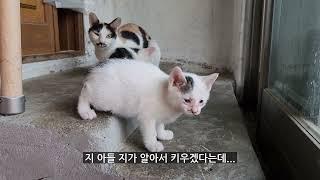 내 자식은 내가 알아서 키울테니 신경 끄소!!