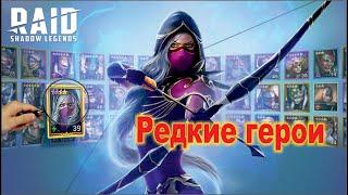 Достойные редкие герои в Raid shadow legends