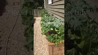 People Have A LOT To Say About My Garden!! #gardenary