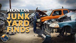 Hitting the Jackpot with Honda Element Parts | Junk Yard Adventures