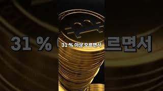 비트코인 하락 과연 지속될까 #유머 #이슈 #썰