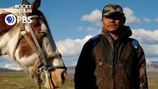 The lonely life of Colorado's last sheepherders