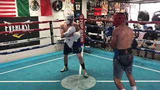 Proffesional boxing SPARRING/ Las Vegas