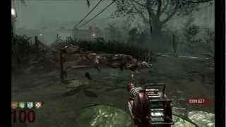 Black ops zombies Ray Gun is Useless at Round 100+