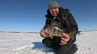 Рыбалка удалась,крупная сорога и окунь на мормышку.