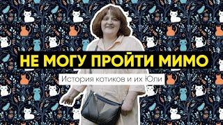 «Не могу пройти мимо!» | История котиков и их Юли