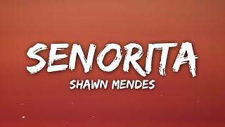 Shawn Mendes, Camila Cabello - Señorita (Lyrics/Letra)