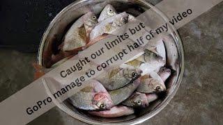 Surf Perch fishing in Ocean Shores WA