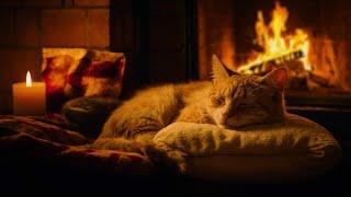 Cozy Room With Purring Cat and  FireplaceASMR Sounds for Relaxing, Deep Sleep, Healing Insomnia