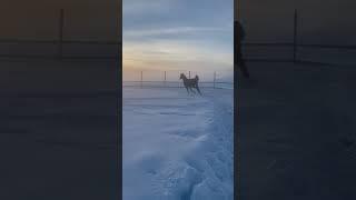 АТ #ӨмірТамаша