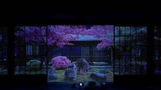 Rain On Japanese Zen Garden At Night (Part 4) For Sleep, Study, Relaxation | 10 Hrs ASMR