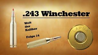 .243 Winchester - Welt der Kaliber , Folge 14