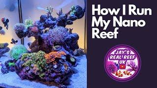 How I Run My Nano Reef Tank - Setup, Water Parameters, Lighting, Dosing and Feeding. All in 30 mins