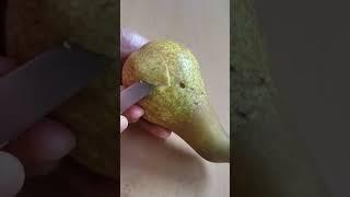 Pear #shorts #fruit