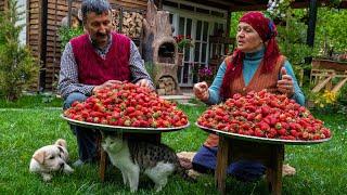 Making Fresh Strawberry Jam and Cake in the Village