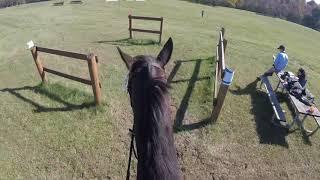 GoPro Windemere Run Horse Trails (10/27/18) Hugo Boss