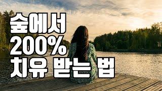 숲해설가의 숲속 힐링방법 3가지 I 숲이야기 김포스