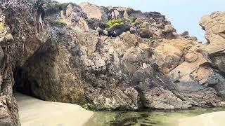 Garrapata Beach