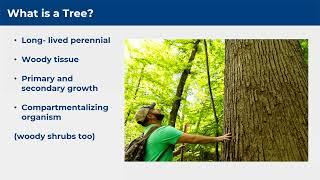 Tree and Soil Biology 101 (Tree Stewards 1)